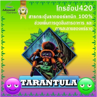 Tarantula by Advanced Nutrients ช่วยเพิ่มการดูดซึมสารอาหาร สนับสนุน​ส่วนราก | Root Booster Microbe