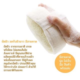 ใยบวบธรรมชาติแบบสวมมือ ใยแท้100% แบบหนาและบาง