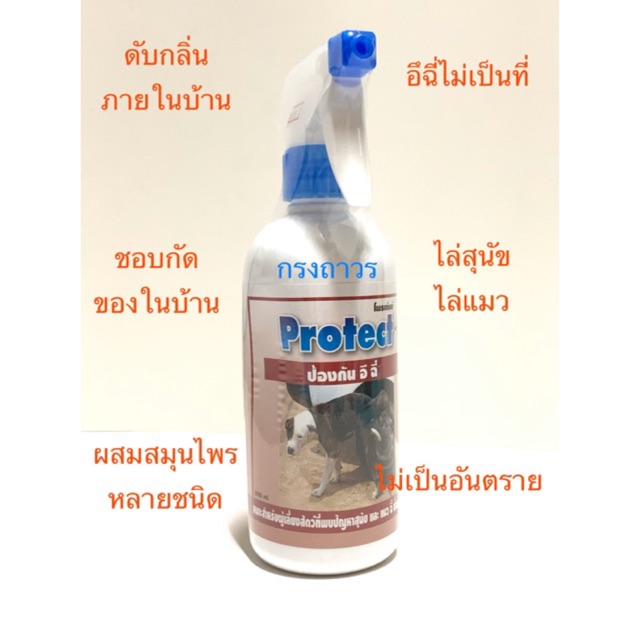 สเปรย์ป้องกันสัตว์เลี้ยงไม่ให้มาอึฉี่ สเปรย์ไล่สุนัขไล่แมว สเปรย์ไล่หมาฉี่ สเปรย์ไล่แมวฉี่ Protect โพรเทคท์ 500 ซีซี