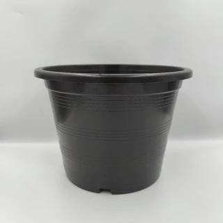 กระถาง 10 นิ้ว 11 นิ้ว ต้นไม้ พลาสติก กระบองเพชร แคคตัส