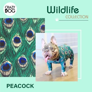 ชุดเก็บขนCrazydog Peacock