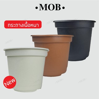 MOB กระถาง 6 นิ้วขาว กระถางต้นไม้่ กระถางหนา ระบายน้ำดี กระถางกระบองเพชร แคคตัส ไม้อวบน้ำ