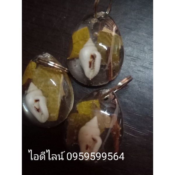 จี้หอยสังข์น้อย(ไม่คัดหอย)ใส่ใบหนาดกันผีปอบใส่กิ่ง/ใบทับทิมกันของอัปมงคลไม่ให้ติดตามตัว ใส่ว่านหาเสน่ห์คนนิยม ช่วยธุรกิจ