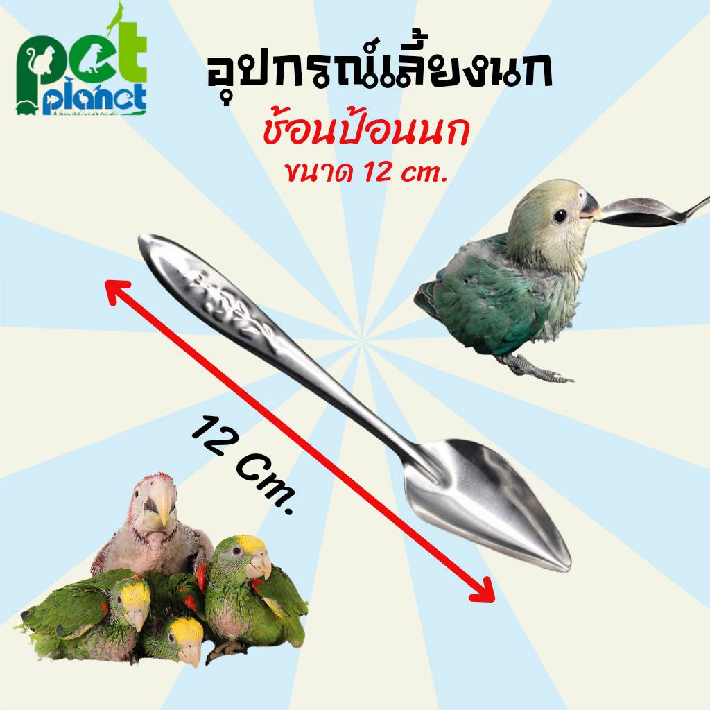 อุปกรณ์เลี้่ยงนก ช้อนป้อนนก สำหรับ ลูกนก หงส์หยก เลิฟเบิร์ด ค็อกคาเทล นกแรกเกิด