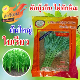 **ส่งฟรี** ผักบุ้งจีน เมล็ดพันธุ์ผักบุ้งจีน ผักปลอดสาร ผักบุ้งจีน ต้นใหญ่ ใบเรียว พันธุ์ไผ่ทักษิณ