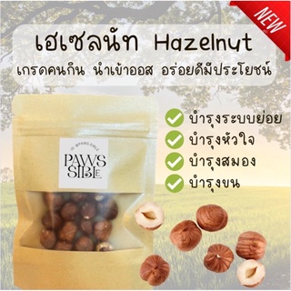 [Paws-sible] ถั่วเฮเซลนัทเกรดA Hazelnut ขนมแฮมเตอร์ ขนมแฮมสเตอร์ ขนมกระรอก อาหารกระรอก อาหารแฮมเตอร์ อาหารหนูแฮมเตอร์