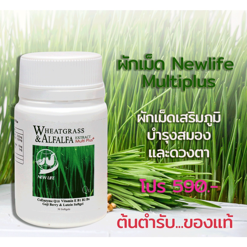 ผักเม็ดนิวไลฟ์ ของแท้ต้นฉบับ เสริมภูมิ บำรุงสมองดูแลดวงตา นิวไลฟ์ วีทกราสและอัลฟัลฟา มัลติ พลัส