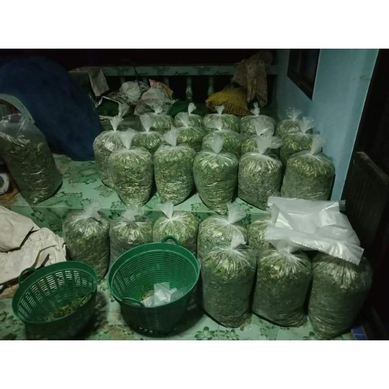 หญ้าจริง ไม่ต้องตัด ขนาด 12 ตร.ม.(6 กก.) แซะเช้าส่งบ่ายจ้า