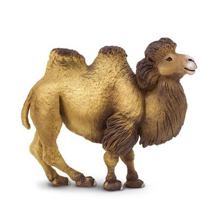 Safari Ltd. : SFR290929 โมเดลสัตว์ Bactrian Camel