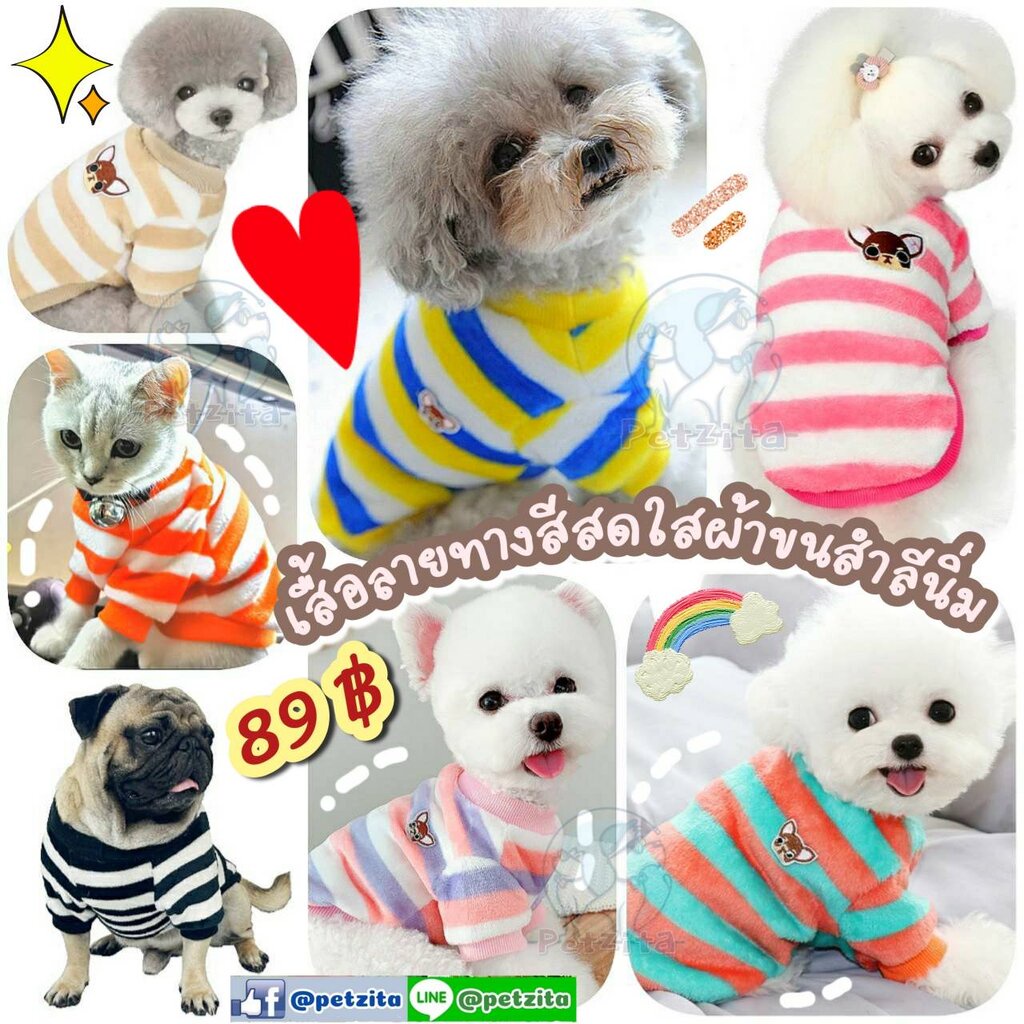 พร้อมส่ง เสื้อแฟชั่นลายทางสีสดใส ผ้าขนสำลีปุยนุ่มนิ่ม for pet สุนัข หมา แมว