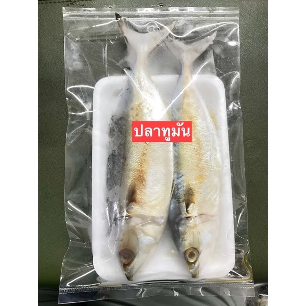 ปลาทูมัน หอมมันอร่อยขนาด2ตัว