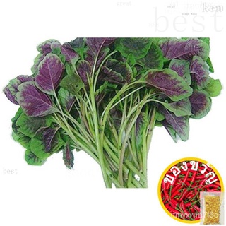 8.Baby Spinach Red Seeds 250pcs S $2อีเมลธรรมดาฟรีในSGมะละกอ/ผักชี/หมวก/กระโปรง/กางเกง/กุหลาบ/แม่และเด็ก/เสื้อ/สร้อยข้อม