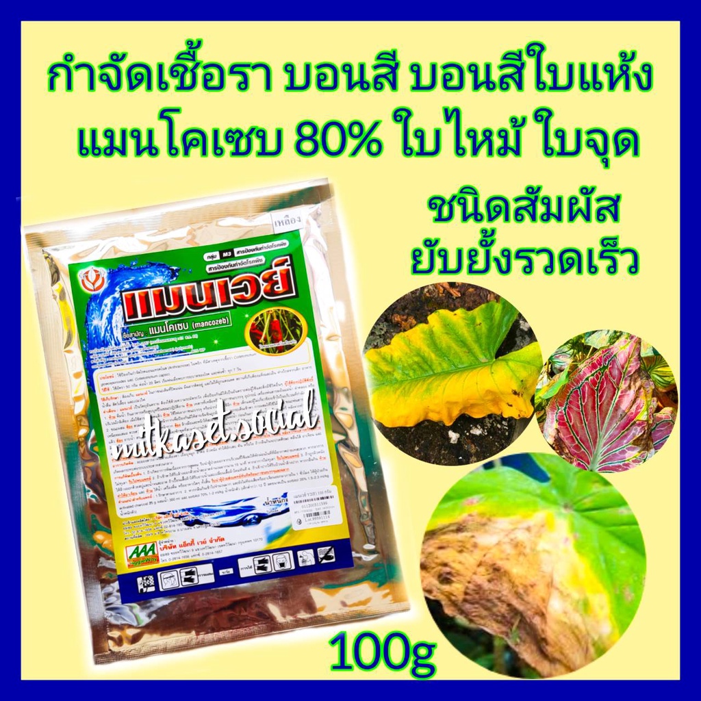 แมนโคเซบ กำจัดเชื้อรา ฆ่าเชื้อรา ยาบอนสี ขนาด 100 กรัม สารป้องกันกำจัดโรคพืชใบไหม้ ใบจุด ราน้ำค้าง แอนแทรคโนสพริก ราแป้ง