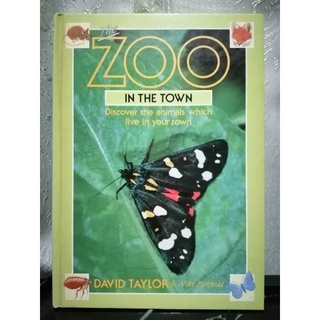 The Zoo in the Town. Discover the Animals Which Live in Your Town-146-