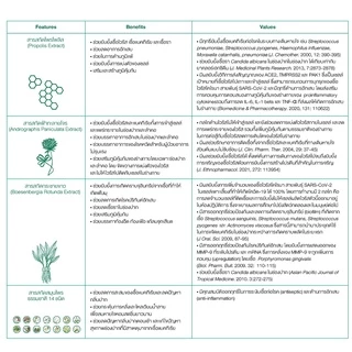(แพ็ค 3) Dentiste' โพรโพลิส สเปรย์ Propolis Mouth Spray 20ml. ฟ้าทะลายโจร กระชายขาว สมุนไพร เดนทิสเต้