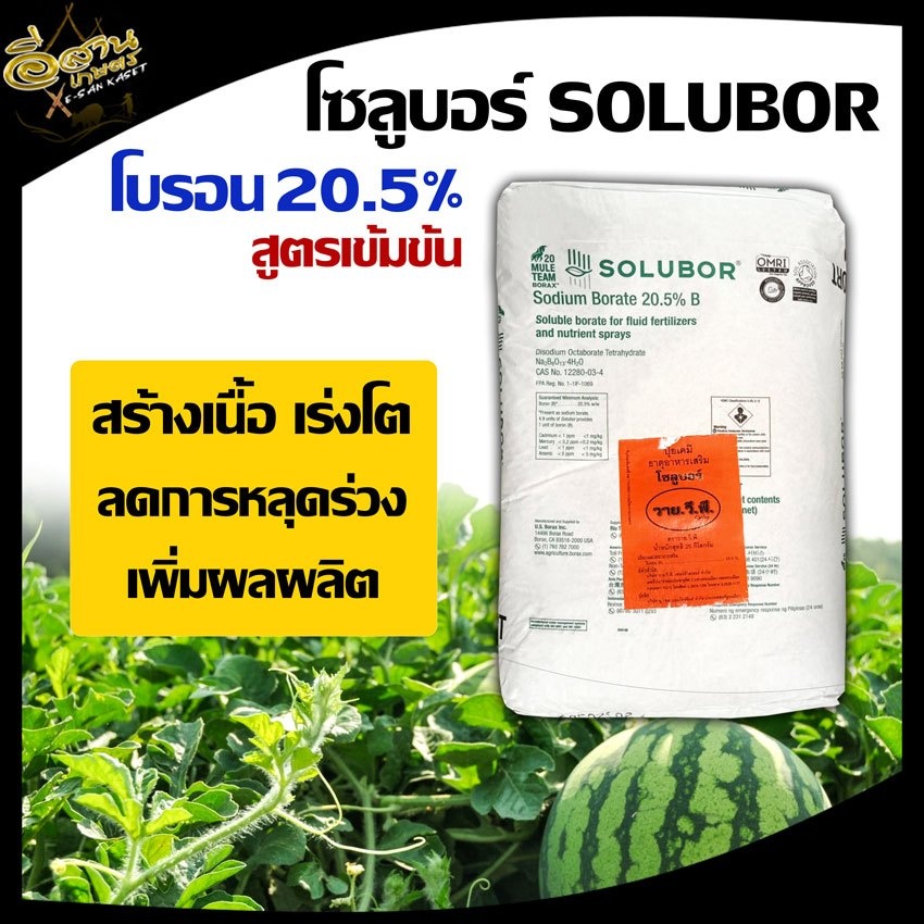 โบรอน Solubor โซลูบอร์ 20.5% บรรจุ 25 กก. ผงจุลธาตุโบรอน โบรอนเข้มข้น ปุ๋ยทางใบ ฉีดพ่น ปุ๋ยเกล็ด ปุ๋ยผง ปุ๋ยละลายน้ำ