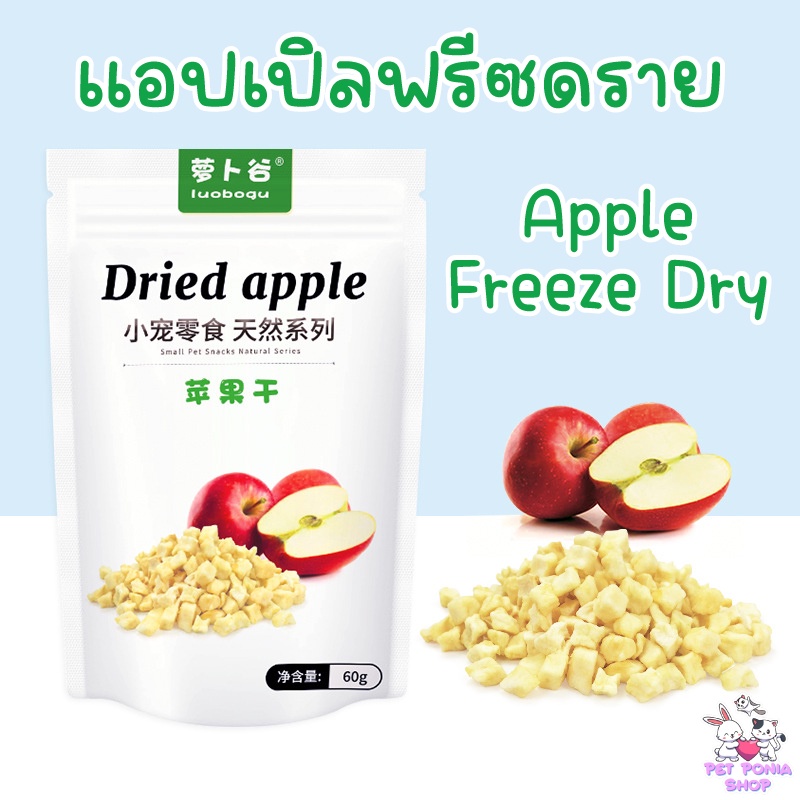‼️(1แถม1)‼️แอปเปิลฟรีซดราย100% สำหรับสัตว์ฟันแทะ Apple Freeze Dry