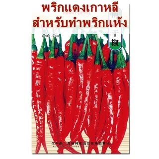 เมล็ด พริกเกาหลี สีแดง (สำหรับพริกแห้ง/สด)   สายพันธุ์ OP พริก จำนวน  500 +เมล็ด
