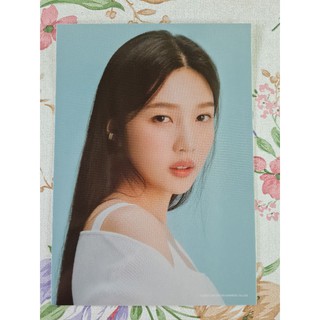 [แท้/พร้อมส่ง] โปสการ์ด​ จอย Joy white ver Red Velvet 2021 Seasons Greetings Photo Pack