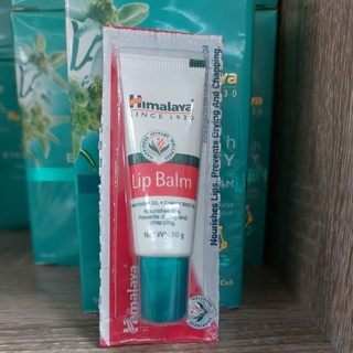 Himalaya Lip Balm 10 g   หิมาลายา ลิปบาล์ม หลอดเหมือนรูป