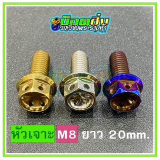 น็อตสแตนเลส หัวเจาะดอกไม้ ขนาดเกลียว m8 ยาว 20 mm.