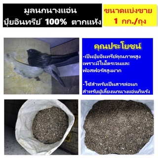 ปุ๋ย มูลนกนางแอ่น ขึ้นก ปุ๋ยขึ้นก ปุ๋ยอินทรีย์ 100% นกนางแอ่น ปุ๋ยมูลนก 1ถุง/1กิโลกรัม 🚘พร้อมส่ง🚘🚘