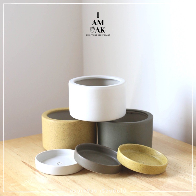 มุมมอง 2