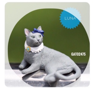 Amy’s Favorite Cat ๏มีLuna และ Coco พร้อมส่ง๏