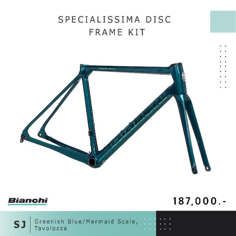 2021 เฟรมรถจักรยาน​เสือหมอบ​คาร์บอน​ดิส​เบรค​ยี่ห้อ​bianchi​ รุ่น specialissima​ discbrake size 50