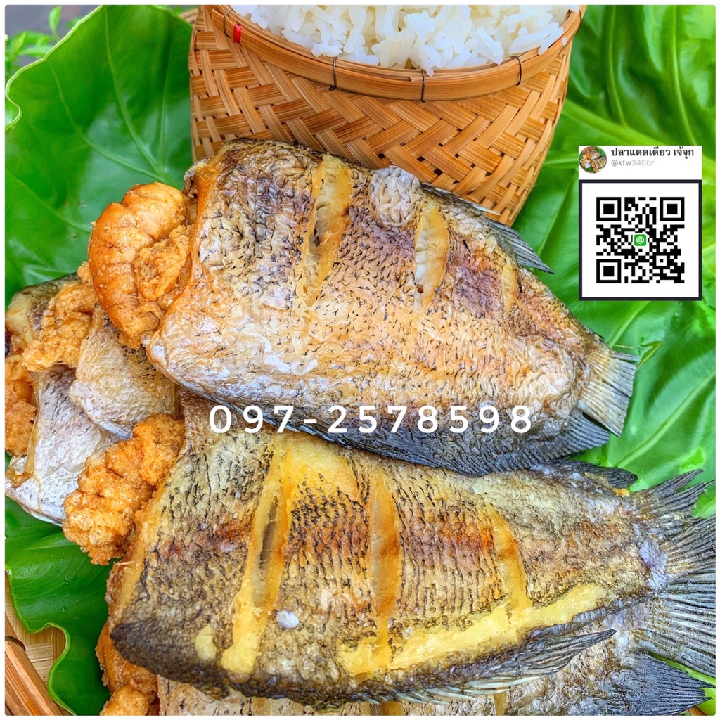 รูปภาพ 6