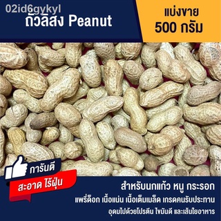 ถั่วลิสง (เกรด A) อาหารนก หนู กระรอก (แบ่งขาย 500g.)