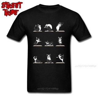 เสื้อยืดครอปเสื้อยืดคอกลม ผ้าฝ้าย พิมพ์ลาย Boston Terriers สีดํา พลัสไซซ์ สําหรับผู้ชายS-5XL