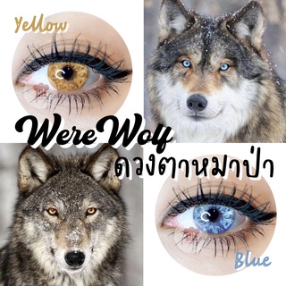 พร้อมส่งจากไทย คอนแทคเลนส์คอสเพลย์ ดวงตาหมาป่า Ware Wolf 🐺 มีให้เลือก 2สี สีชัดสุด