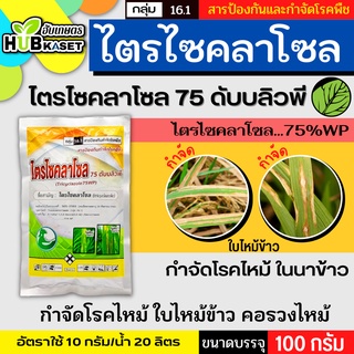 ไตรไซคลาโซล 75ดับบลิวพี 100กรัม (ไตรไซคลาโซล) ป้องกันโรคไหม้ในนาข้าว