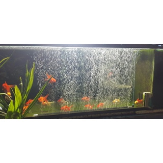 ออกซิเจนบาร์ สำหรับตู้ปลา 120-200 เซน OXYGEN BAR FOR FISH TANK