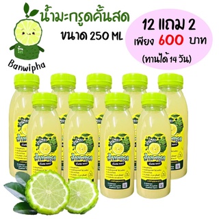 🍋น้ำมะกรูดคั้นสด💯 เตรียมตั้งครรภ์🤱 250ml. 12 แถม 2 ขวด