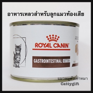 อาหารเหลวลูกแมวท้องเสีย Gastrointestinal Kitten