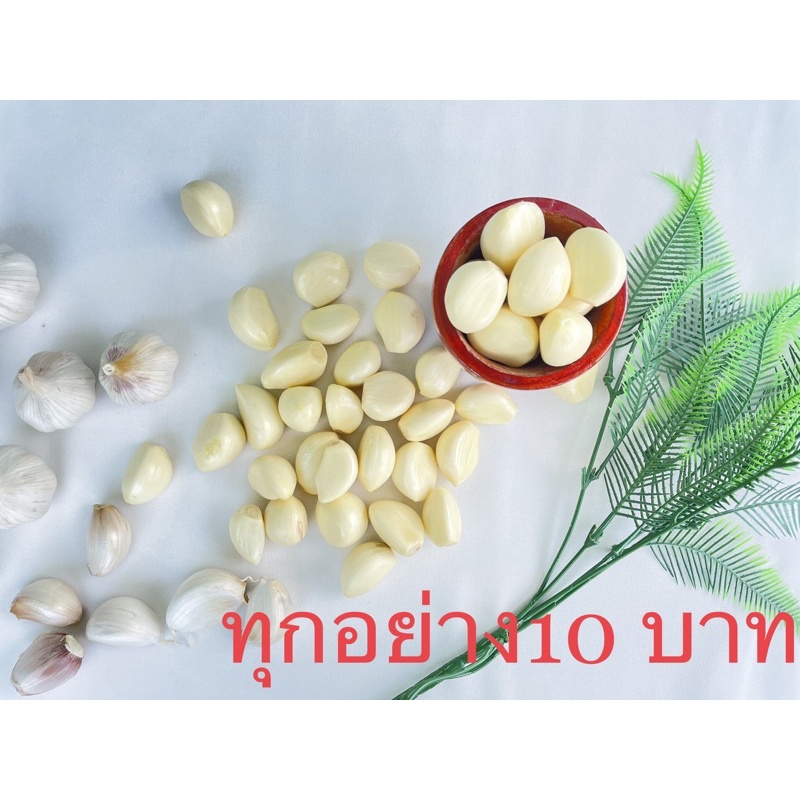 เครื่องปรุง ในครัว ทุกอย่าง10 บาท เครื่องเทศ ผงปรุงรส ในครัว