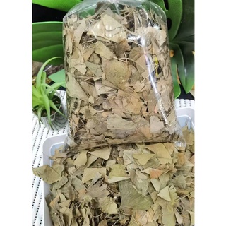 ใบแปะก๊วย ใบเขียว เกรด A（白果叶） ขนาด200g&amp; 500g， ช่วยบำรุงสมอง