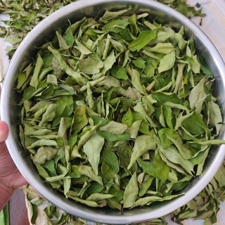 Curry Leaves --- ใบหอมแขก --- ใบกะหรี่ --- 10 กรัม