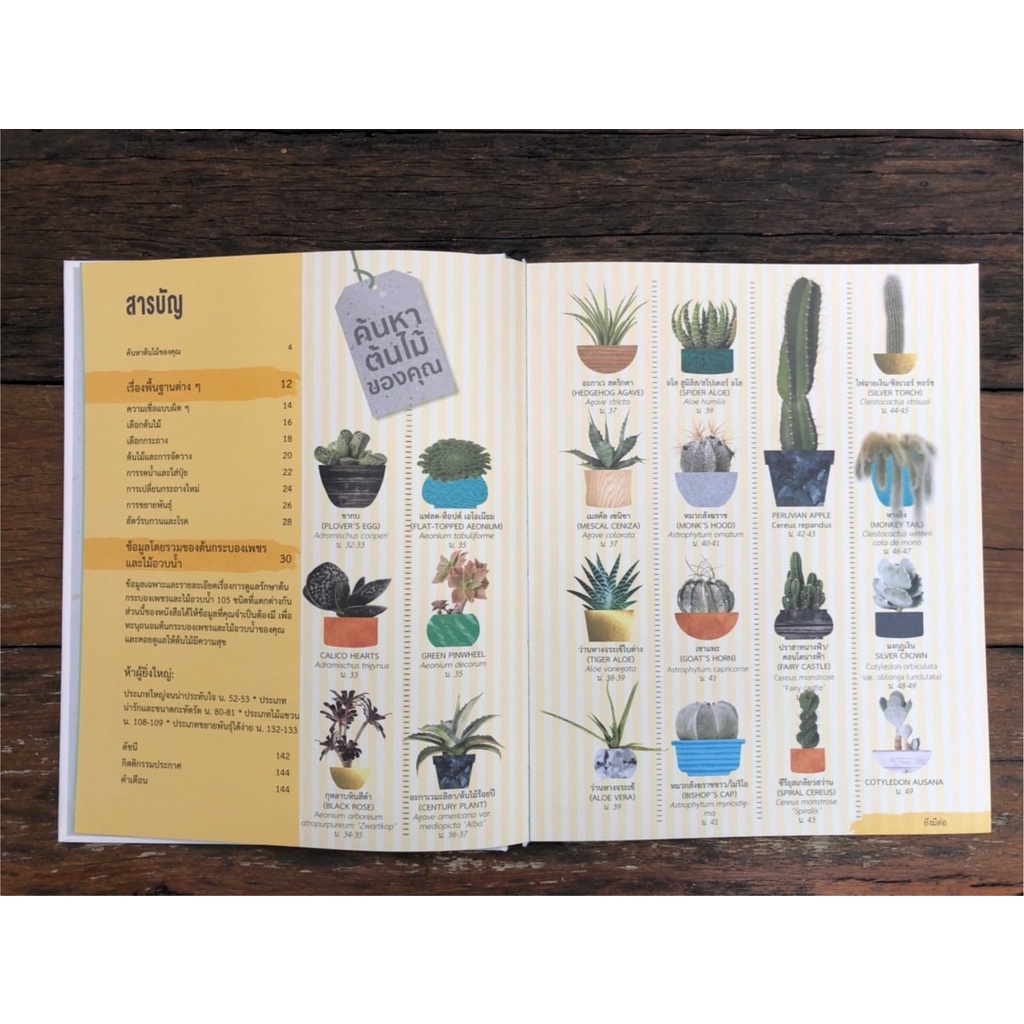 กล้วยไม้ Happy Orchid | Happy Bonsai บอนไซ | Happy CACTUS การดูแล ต้นกระบองเพชร และไม้อวบน้ำต่าง ๆ (ปกแข็ง) / DK ราคา ถูกที่สุด ดีลบีเคเค แกลเลอรีภาพที่ 7