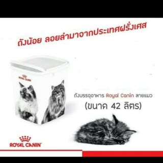 ถังใส่อาหาร ลายแมว Royal Canin ใบใหญ่ !!!