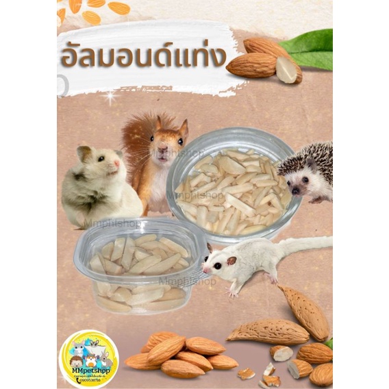(MMPetShop)ขนมหนูแฮมสเตอร์ ของว่าง อาหารเสริมเพิ่มโปรตีนชูก้า กระรอก เม่นแคระหรือสัตว์ฟันแทะขนาดเล็ก - รูปที่ 5