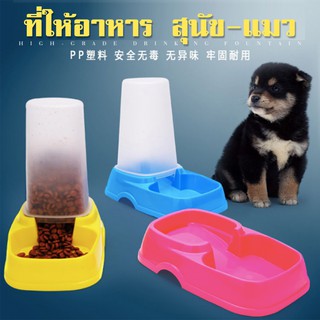 ที่ให้อาหารสุนัข Pet Feeder