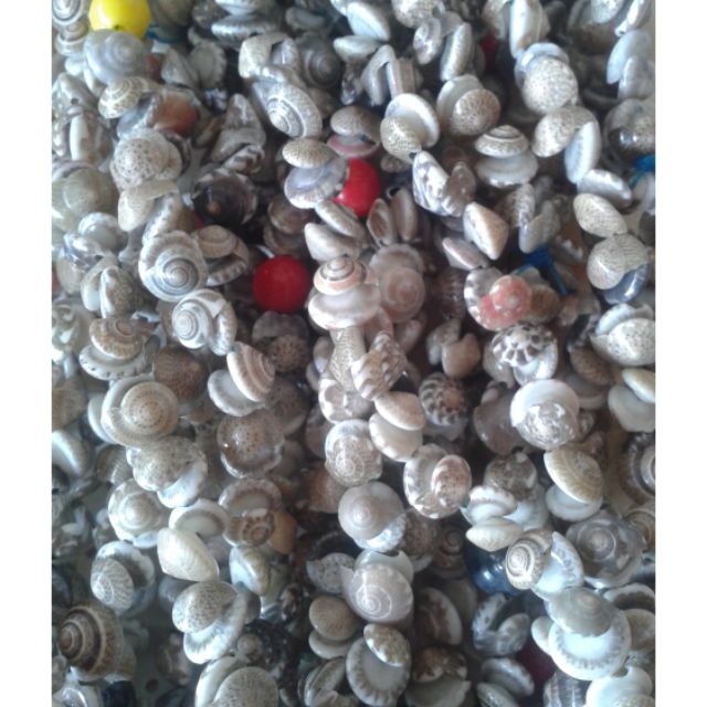 🐚สร้อยคอ หอยทับทิม สีธรรมชาติ หอยธรรมชาติ🐚📌ซื้อ 10 เส้น ฟรี 1 เส้น📌ของฝากที่ระลึก ของเด็กเล่น ของฝากชลบุรี