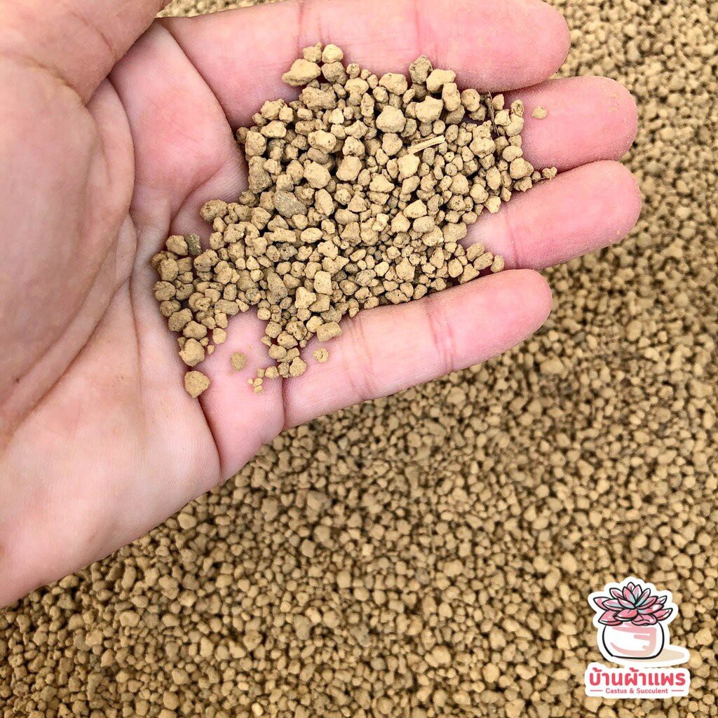 Musulmon ayol bilan jinsiy aloqa