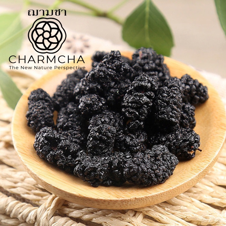 หม่อนเบอร์รี่ หรือ มัลเบอร์รี่ (Mulberry Tea) ชาผลไม้ ทานเล่นแต่งขนมได้เลยค่ะ ผลคัดพิเศษ ชาดอกไม้ ชาผลไม้ Charmcha ฌามชา