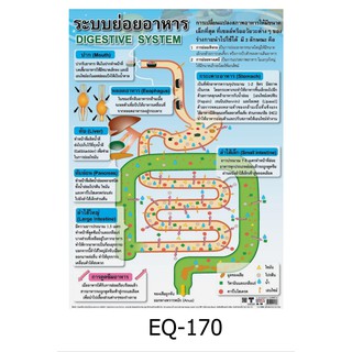 ระบบย่อยอาหาร EQ-170 สื่อโปสเตอร์ภาพ กระดาษ หุ้มพลาสติก