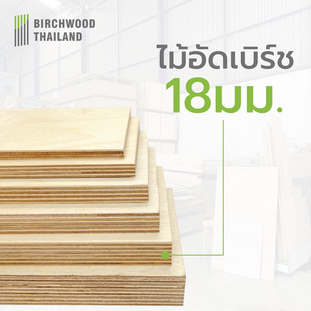 ไม้อัดเบิร์ช เกรดพรีเมี่ยม สวยสองหน้า หนา 18มม. Baltic Birch Plywood Birchwood Thailand