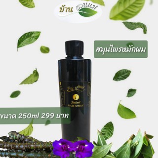 สมุนไพรหมักผม ขวดรีฟิลสำหรับเติม 250 ml. ปิดผมขาว ลดผมขาดหลุดร่วง บำรุงผมนุ่มสลวยเงางาม